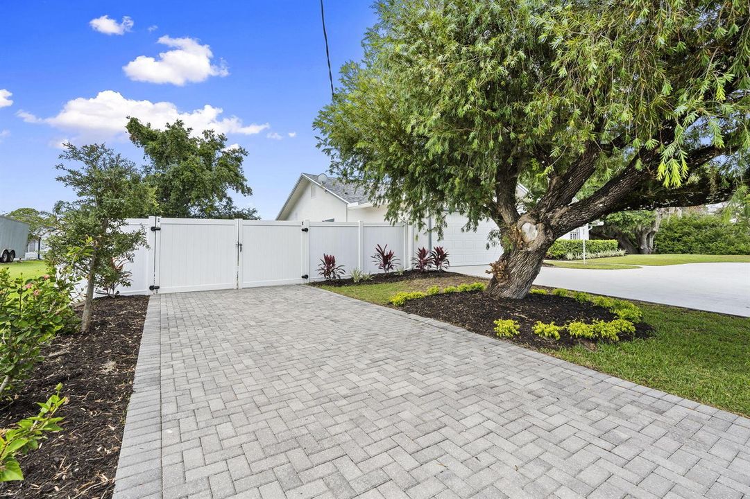 52-web-or-mls-DSC08217