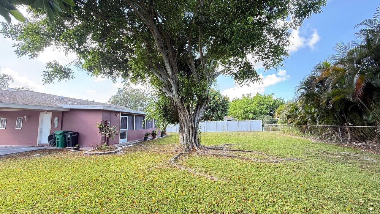 BACK YARD