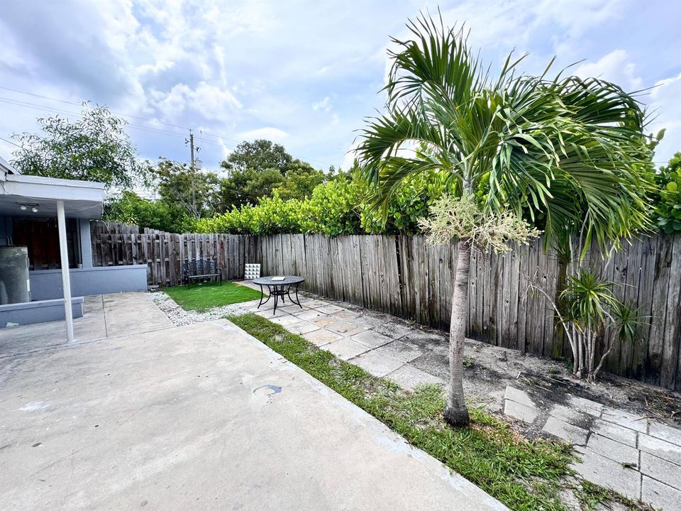 Backyard 1