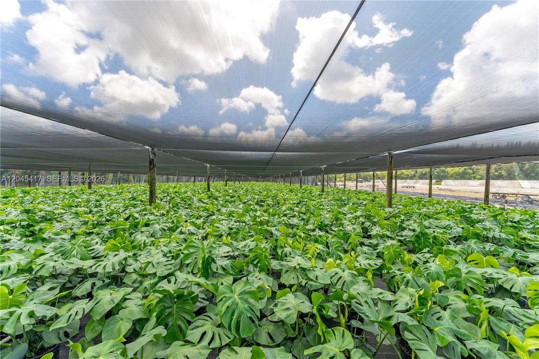 For Sale: $3,500,000 (10.66 acres)
