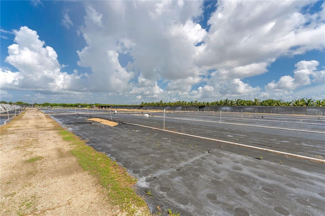 For Sale: $3,500,000 (10.66 acres)