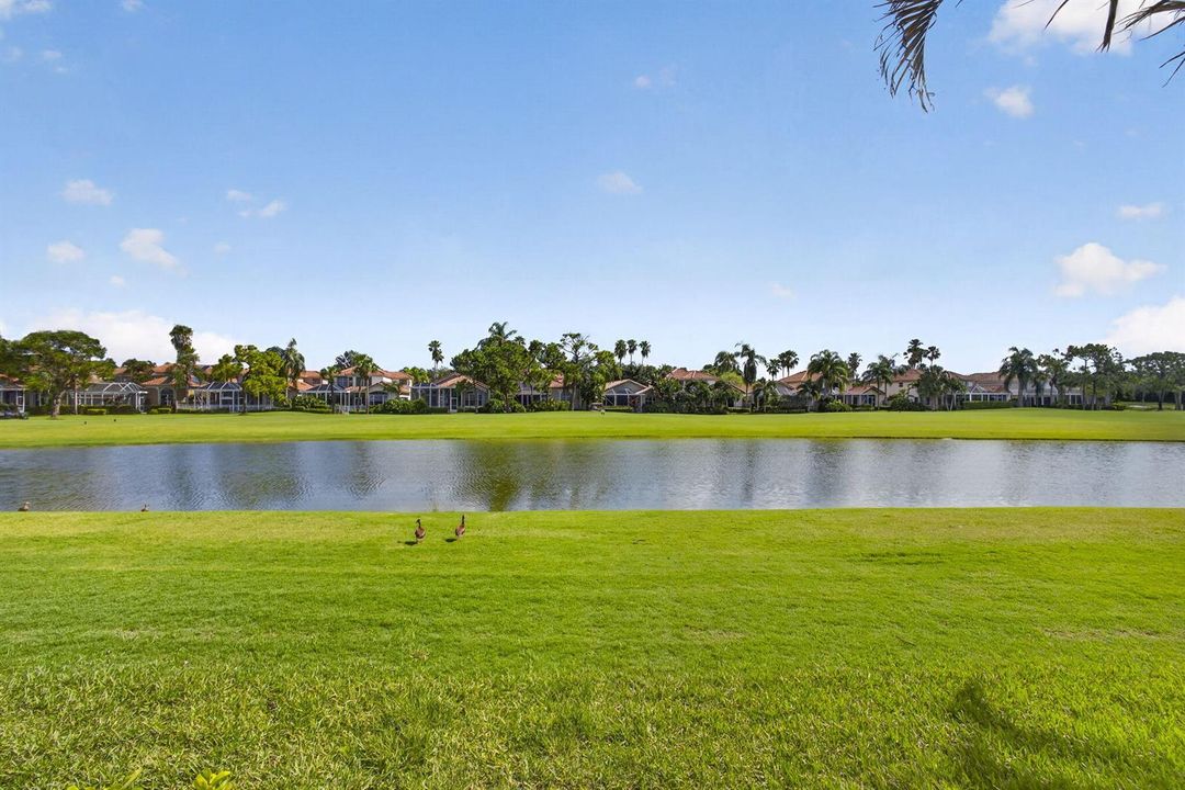 51-web-or-mls-BS1A9783