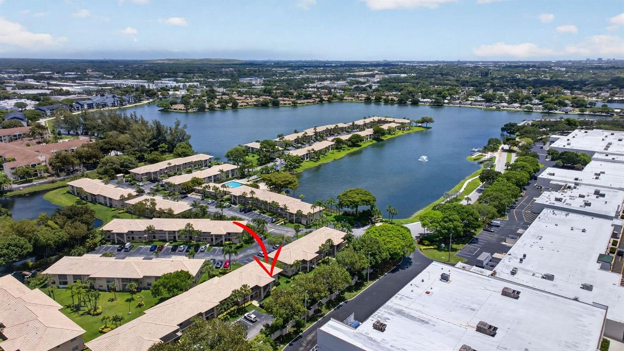 36-web-or-mls-5561--6