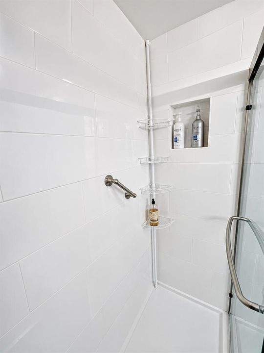 3850 215 master shower inside