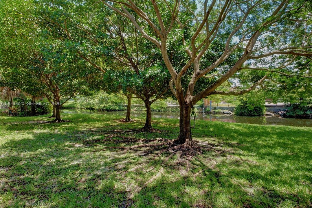 For Rent: $4,900 (3 beds, 2 baths, 2196 Square Feet)