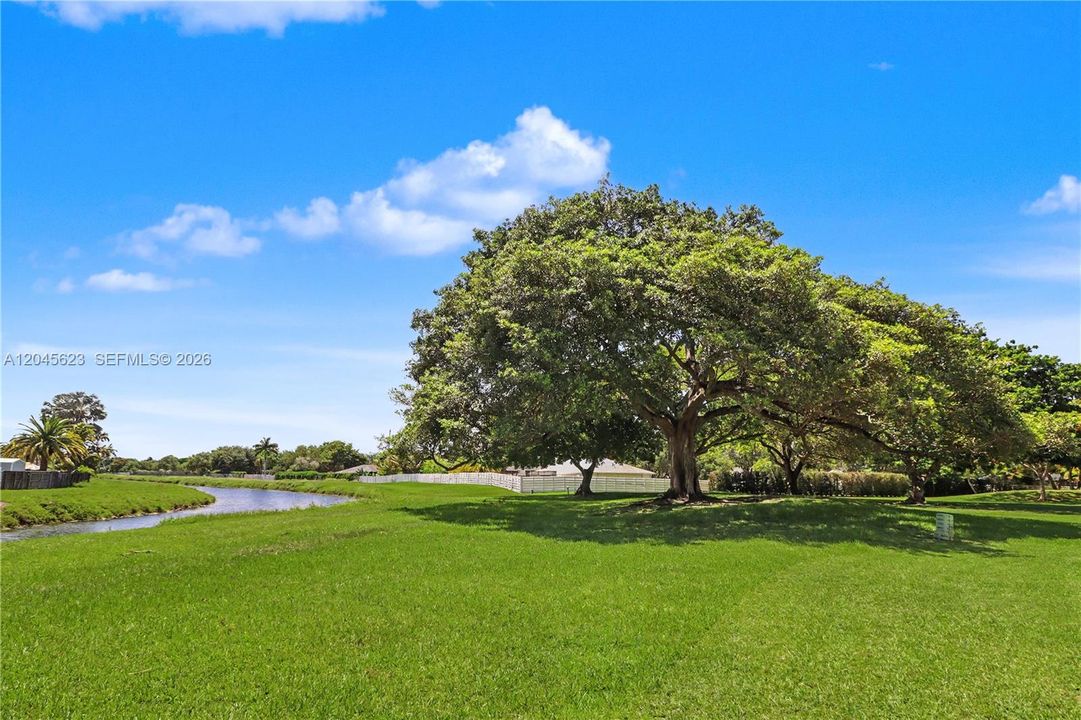 待售: $660,000 (3 贝兹, 2 浴室, 1704 平方英尺)