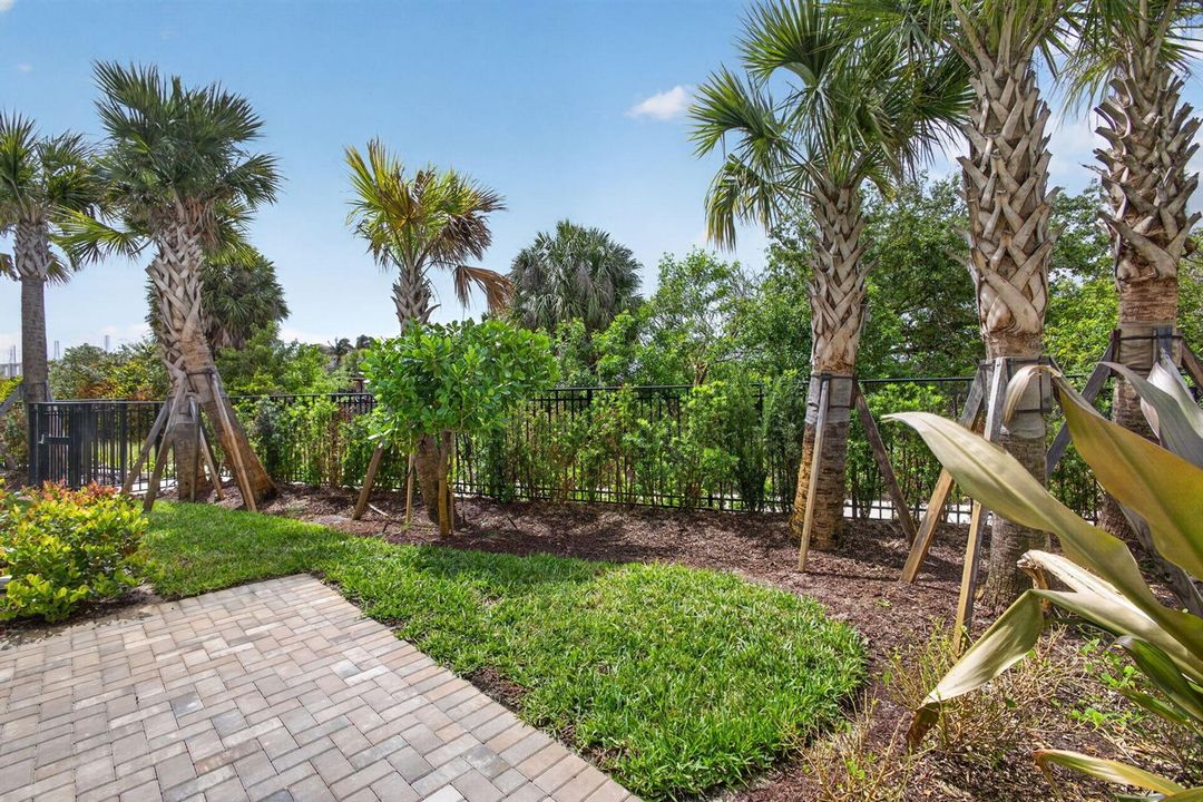 27-web-or-mls-5D1A4448