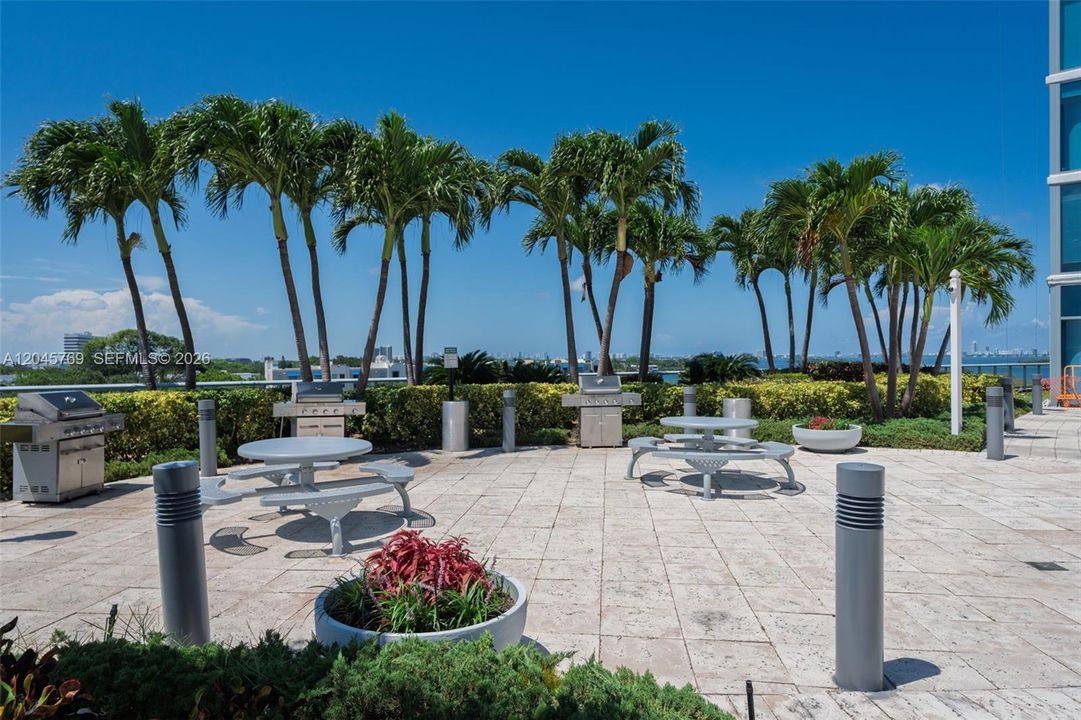 bbq/grill area