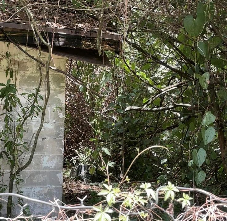 Side of house