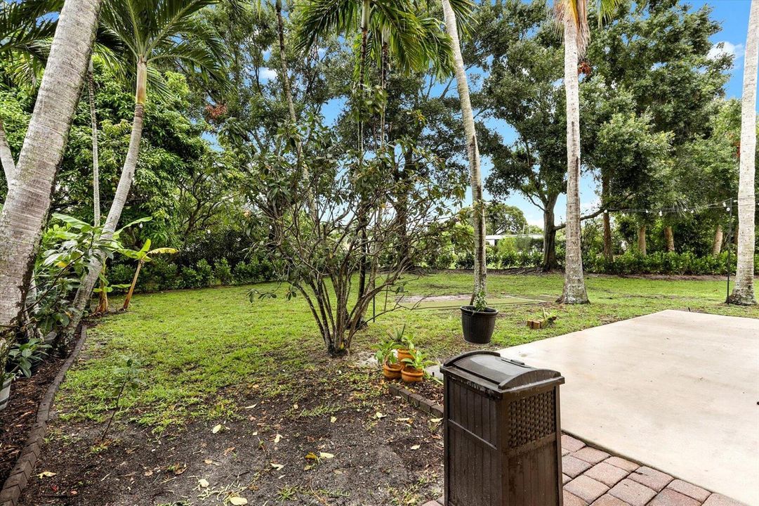 31-Back Yard Patio