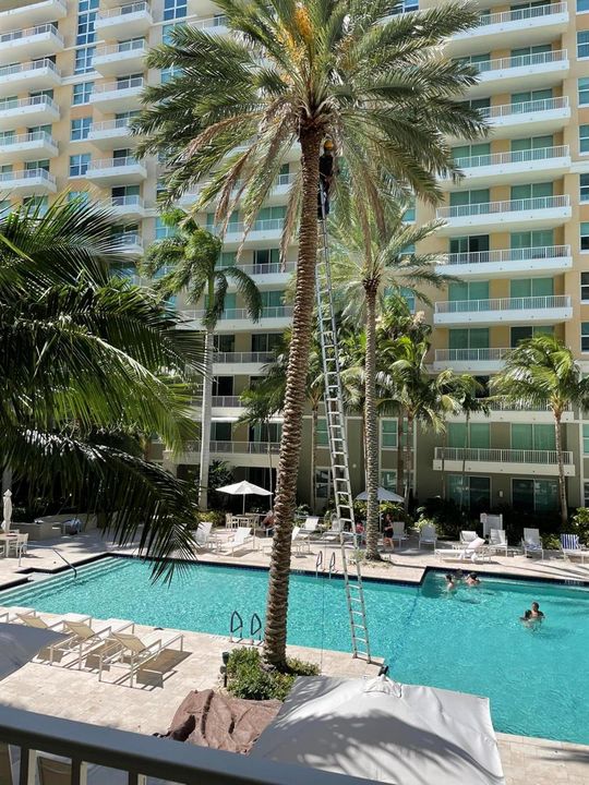 MV Pool