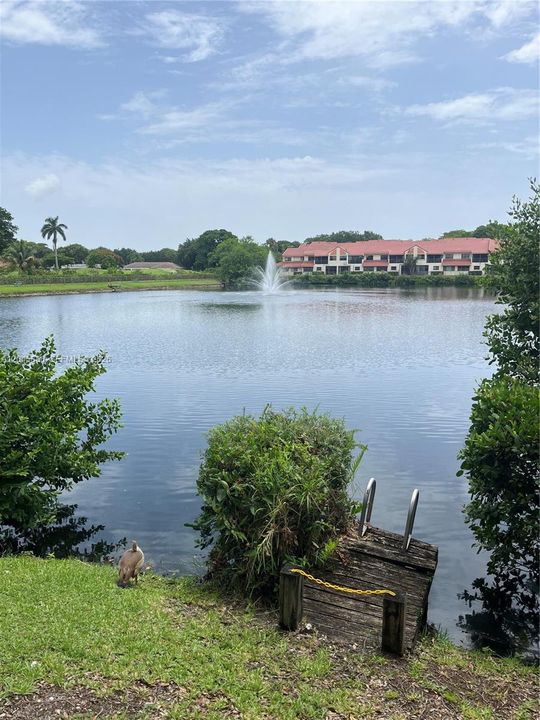 For Rent: $4,500 (3 beds, 2 baths, 1438 Square Feet)