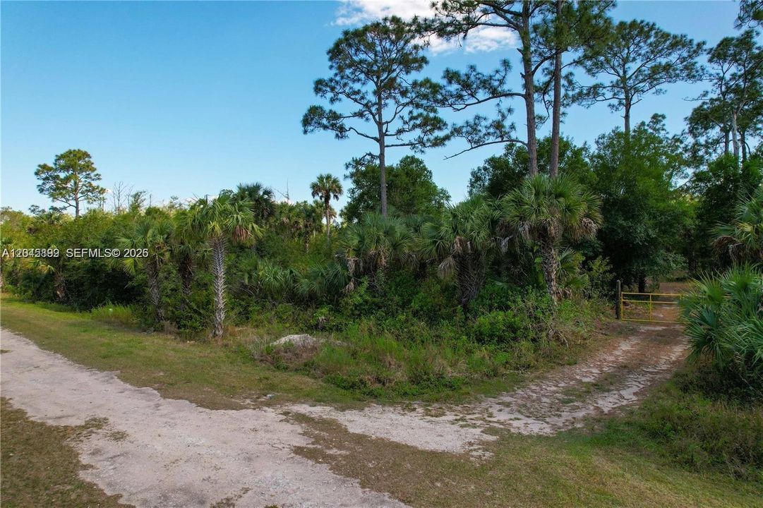 For Sale: $124,900 (2.50 acres)