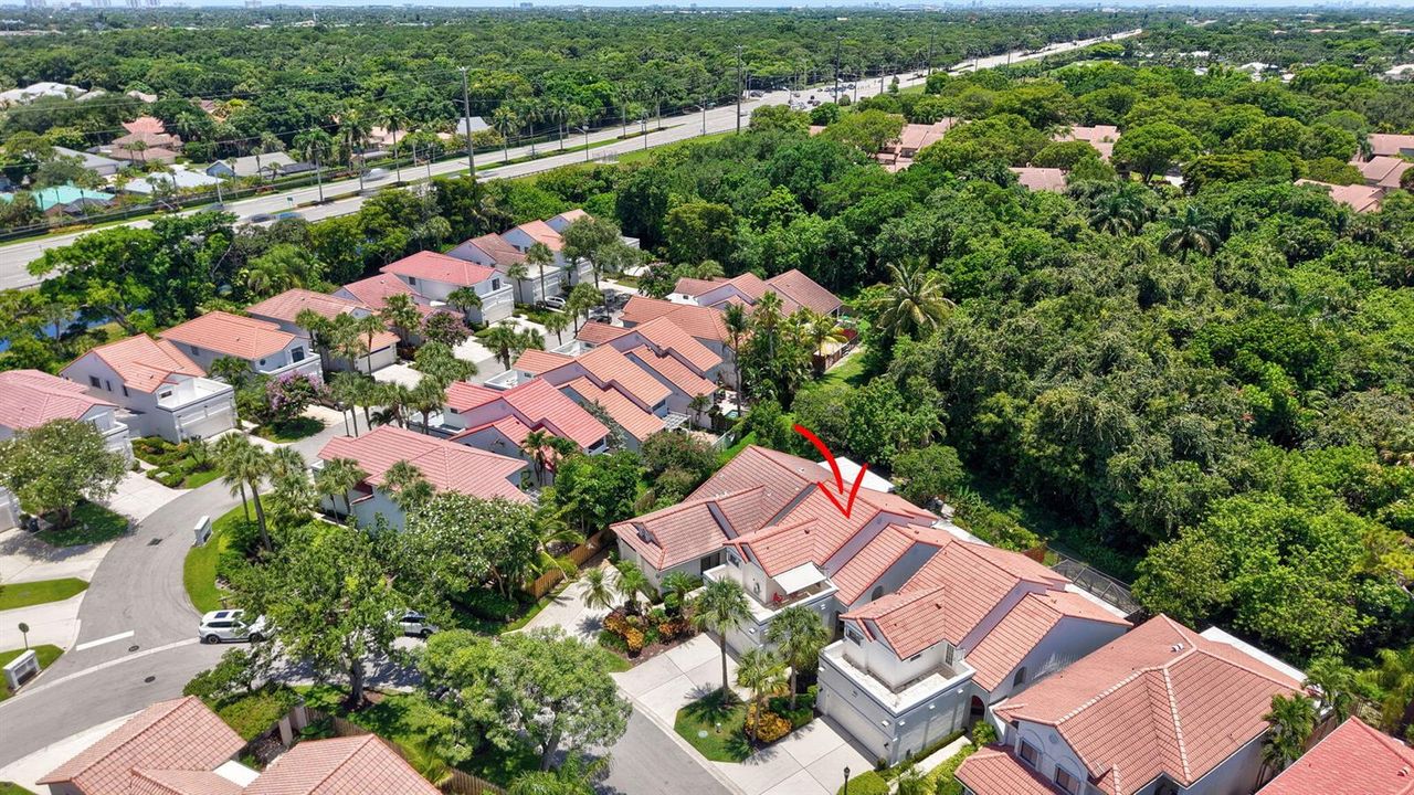 AERIAL