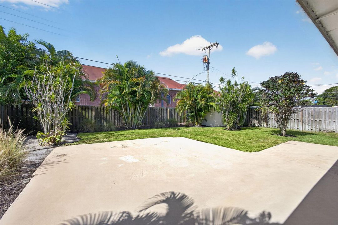 Backyard