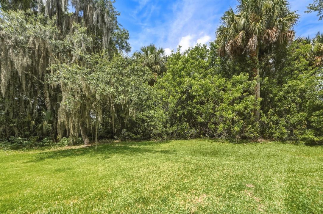 Huge Yard