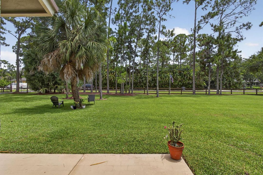 5 Front Yard