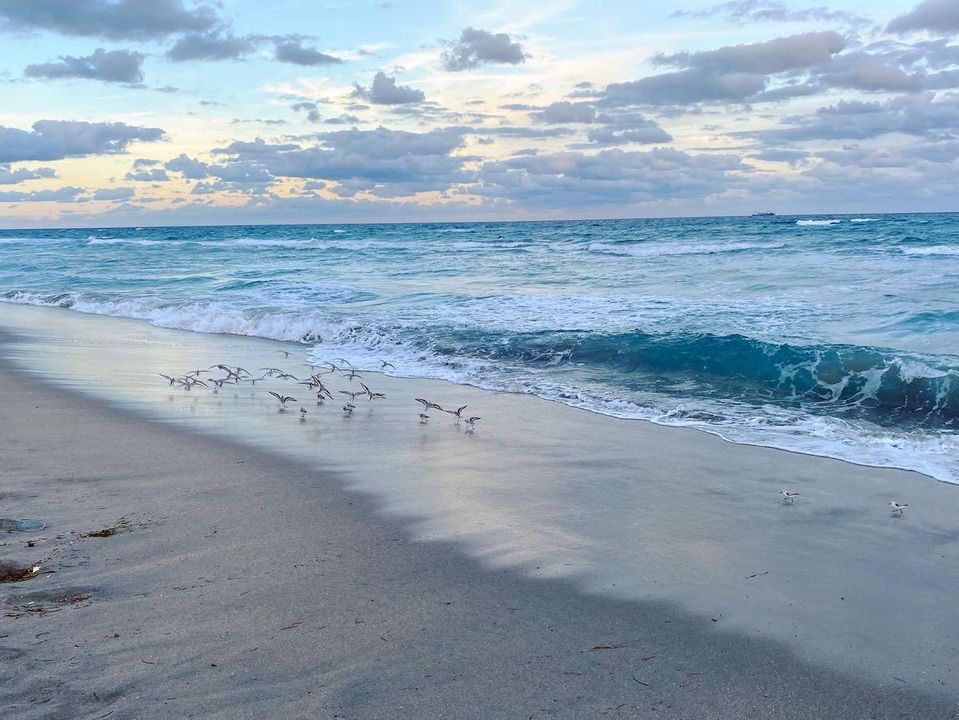 Bike to Beach