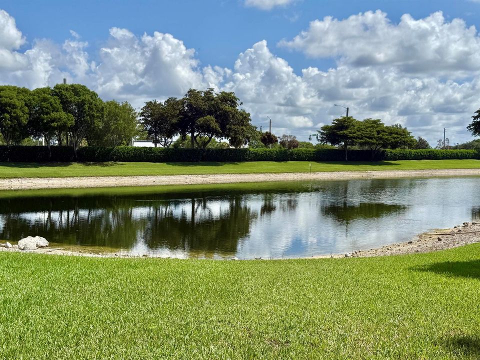 Lake view