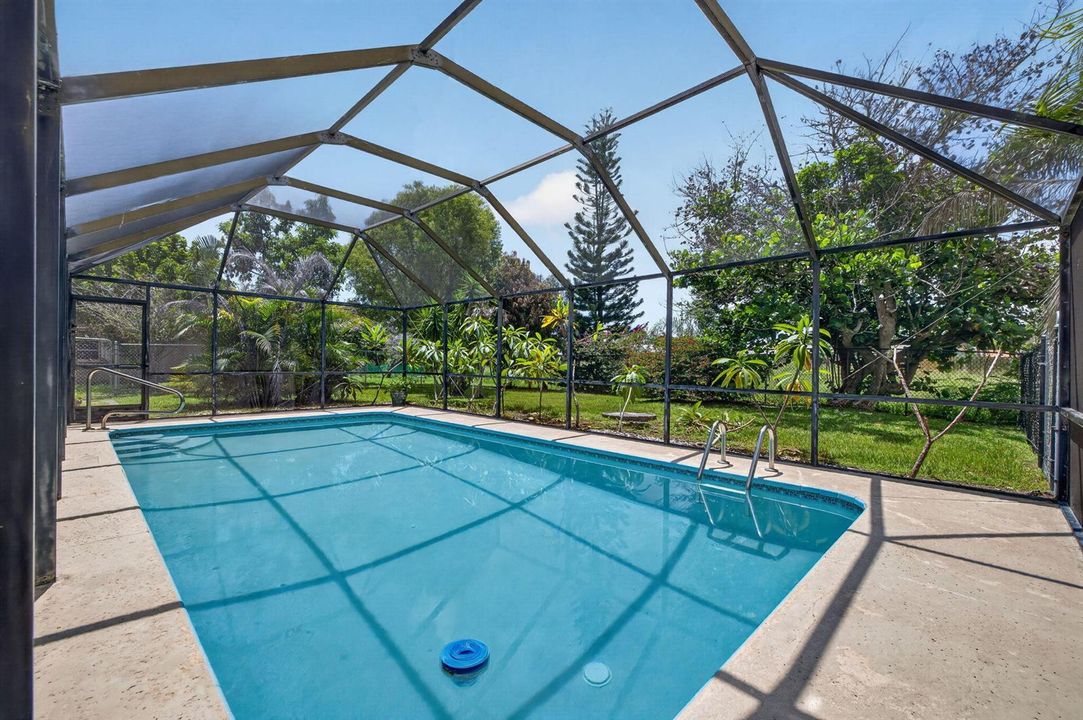 34-web-or-mls-3A5A8853