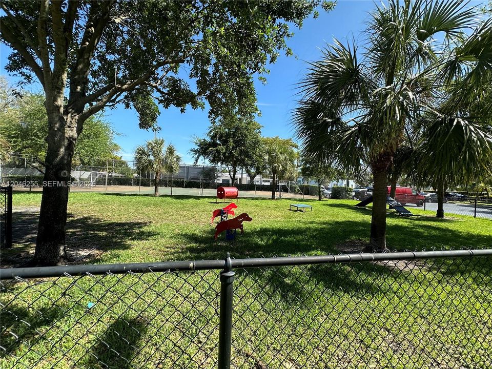 Dog park.  Behind you see the soccer goal area