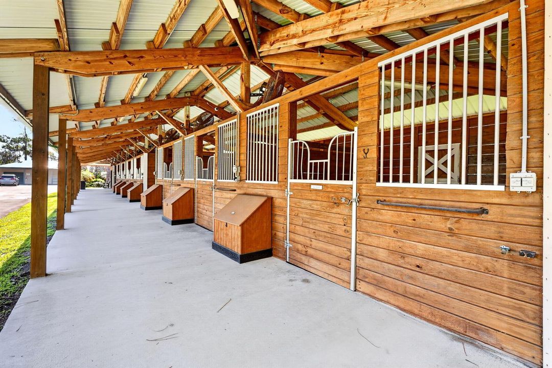 147-web-or-mls-5P1A5538