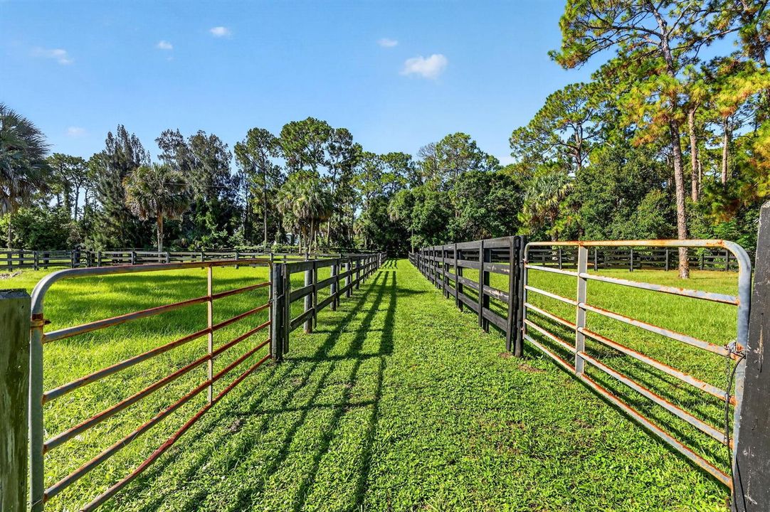 109-web-or-mls-5P1A5563