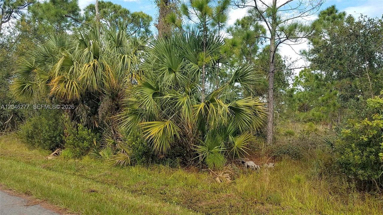 На продажу: $42,000 (0.37 acres)