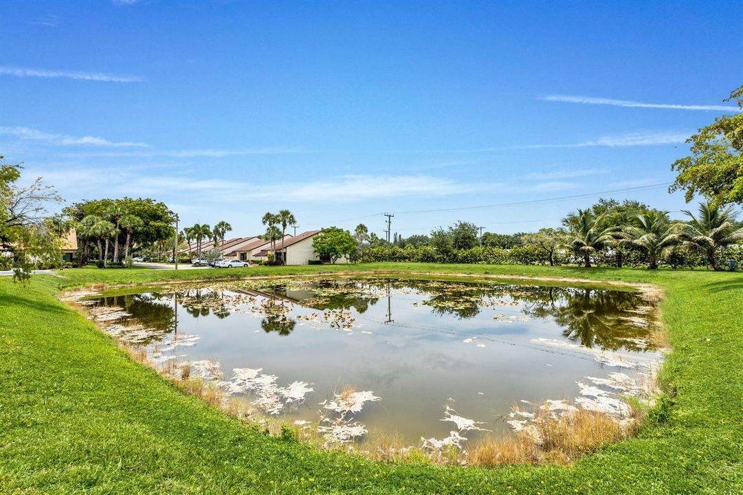 31-web-or-mls-A7409060