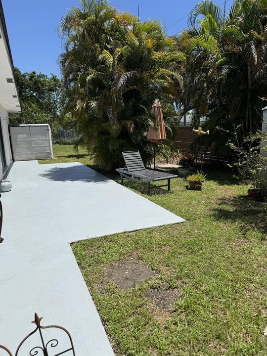 Backyard - 1