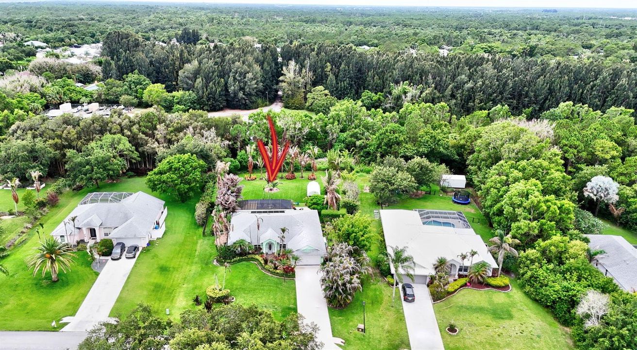 aerial