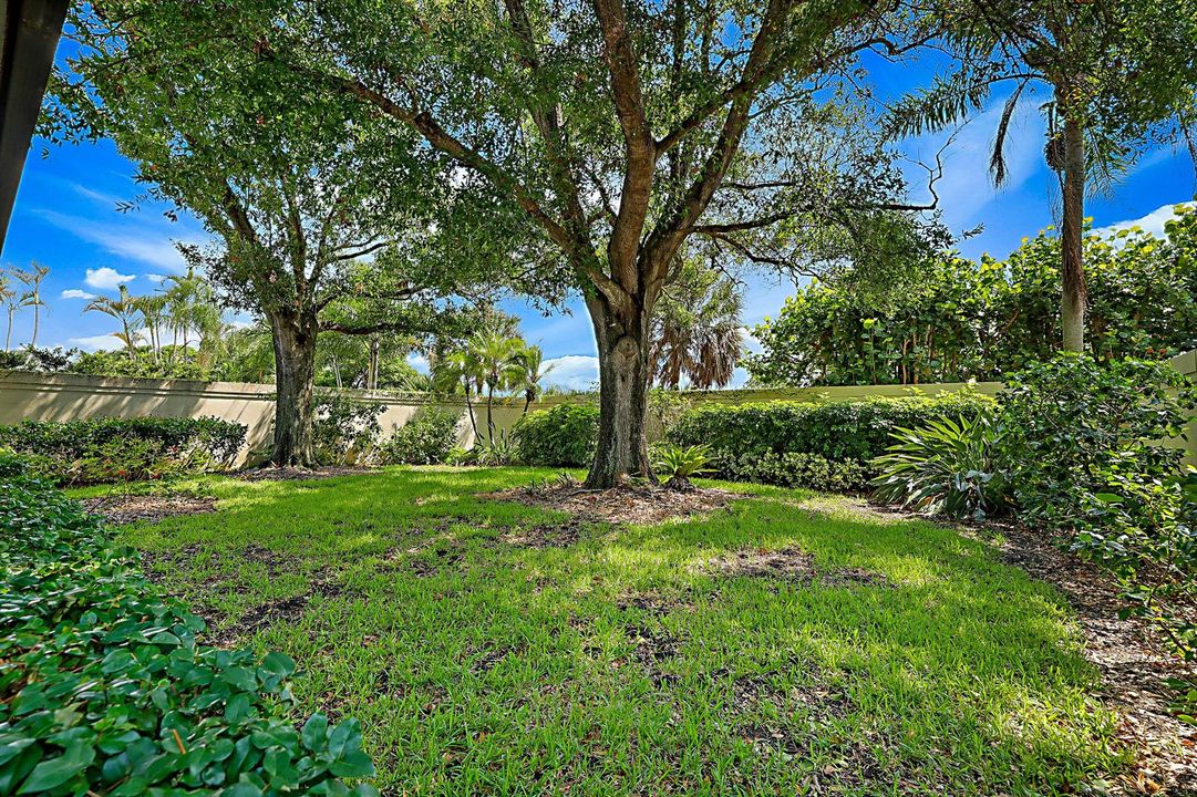 Huge Yard