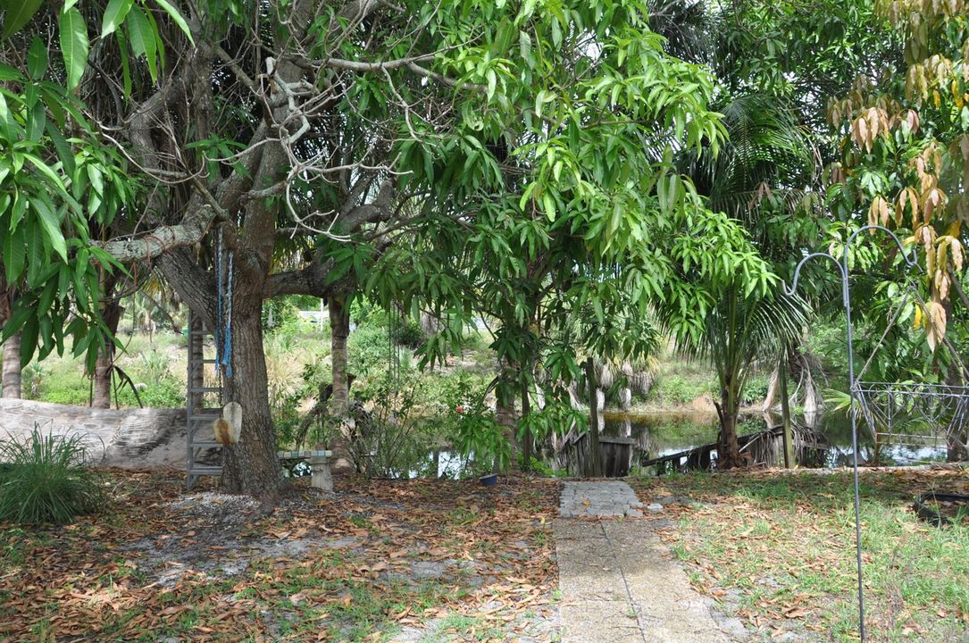 DSC_0496