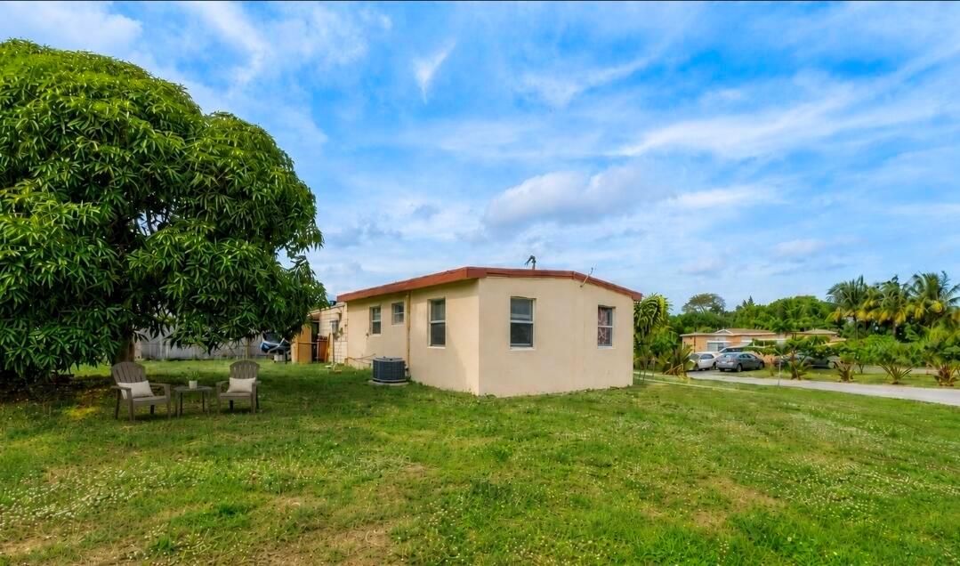 Backyard with mango tree
