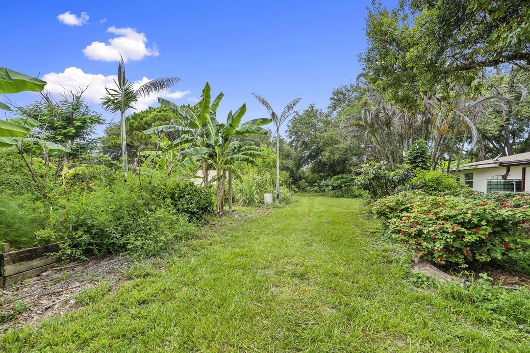 56-web-or-mls-DSC09485