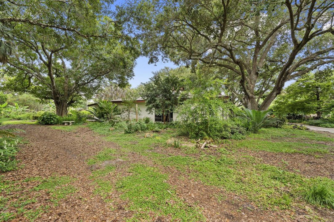 46-web-or-mls-DSC09413