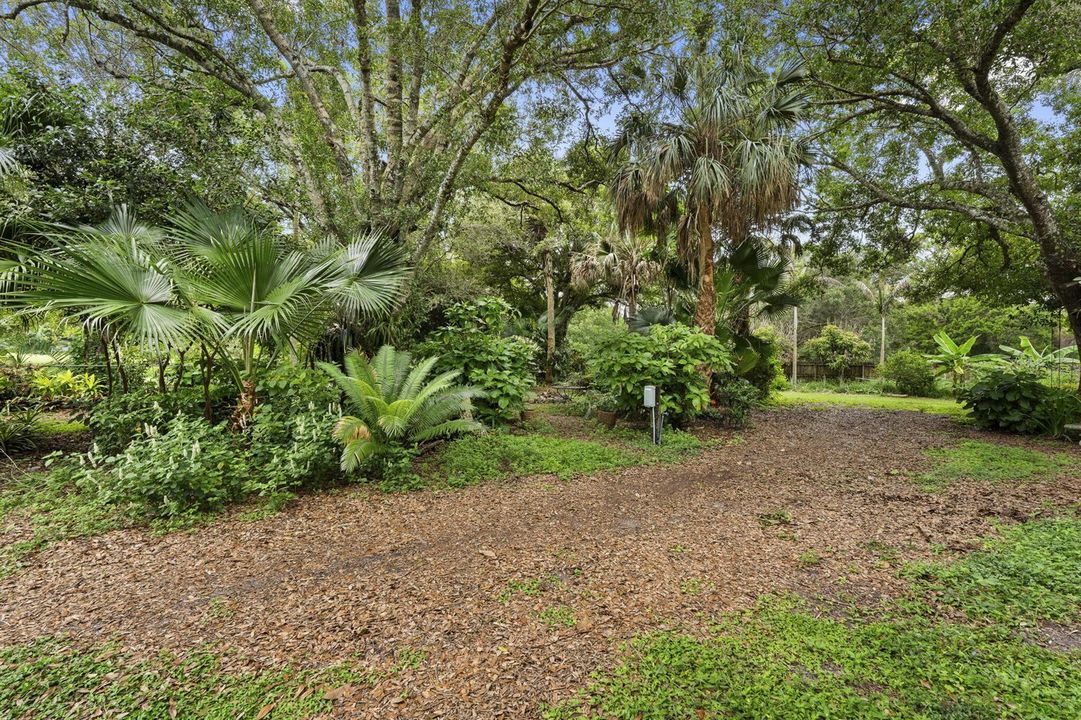 47-web-or-mls-DSC09418
