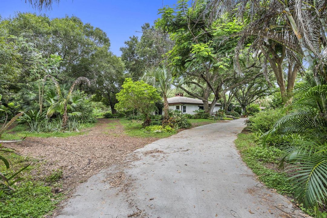 61-web-or-mls-DSC09547