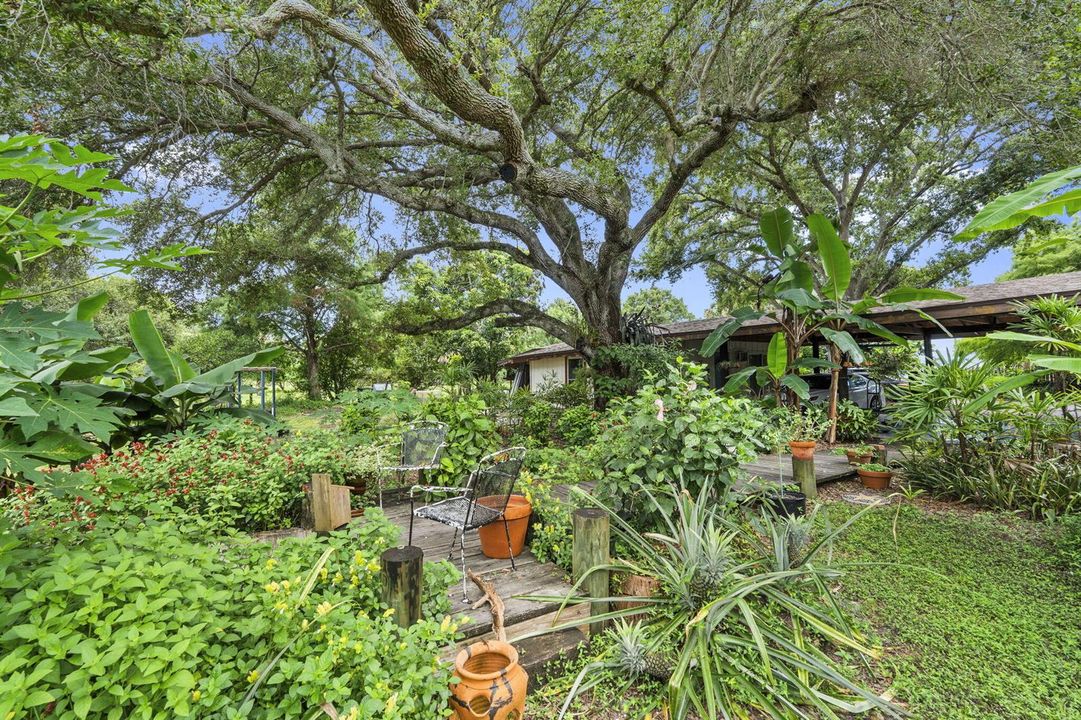 57-web-or-mls-DSC09493