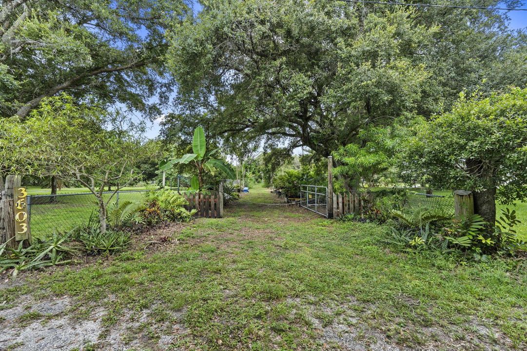 53-web-or-mls-DSC09457