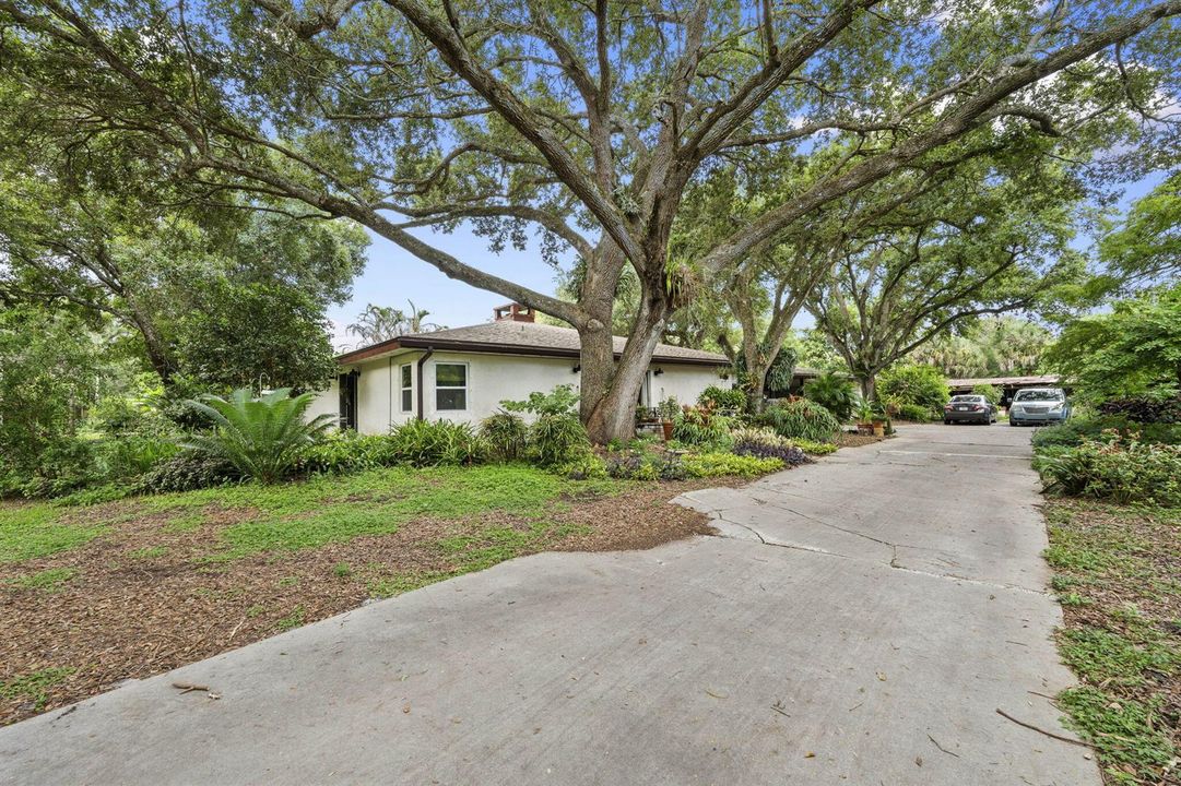 45-web-or-mls-DSC09403
