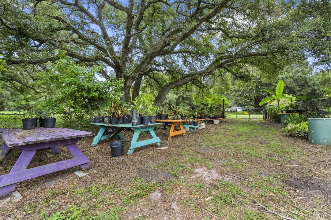 55-web-or-mls-DSC09475