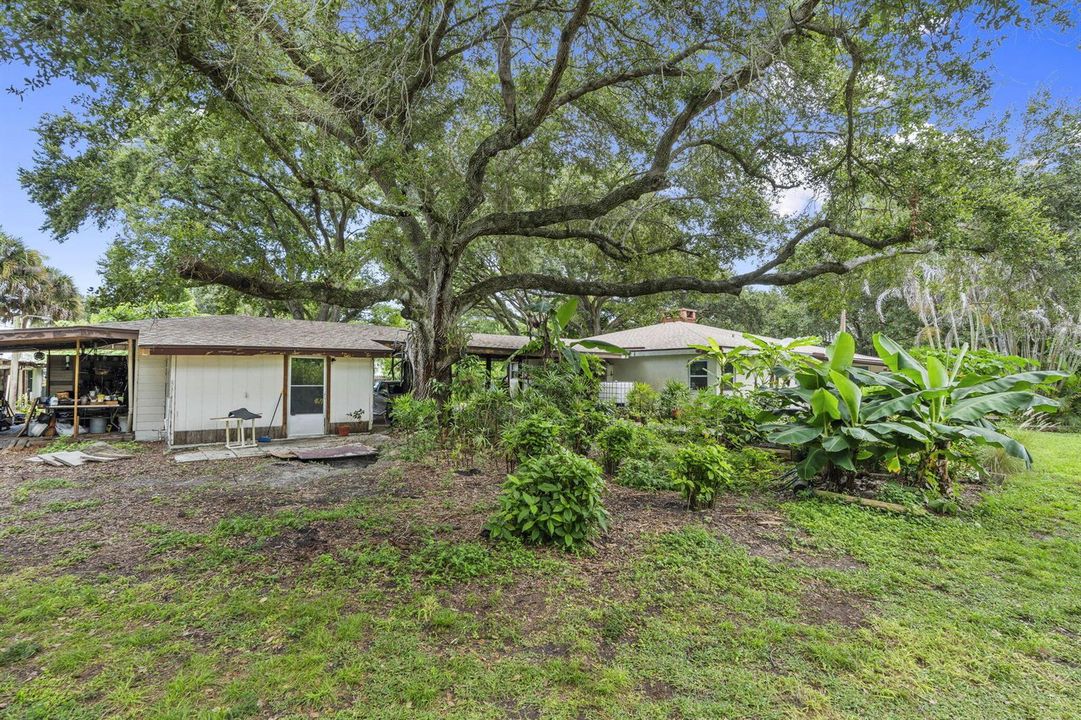 59-web-or-mls-DSC09511