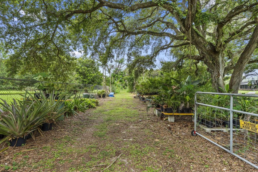 54-web-or-mls-DSC09468