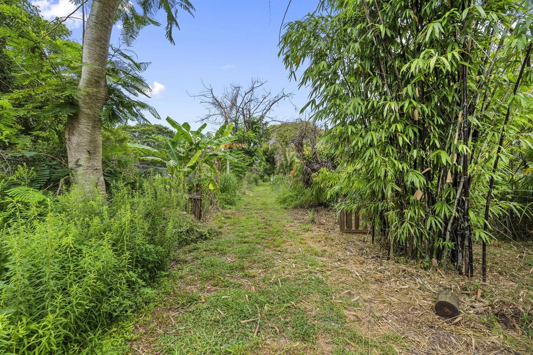 52-web-or-mls-DSC09448