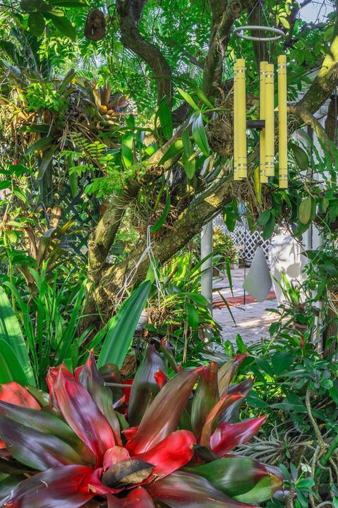 17 Backyard Views (11)