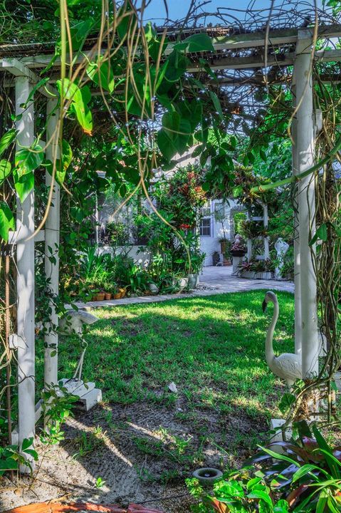 17 Backyard Views (9)