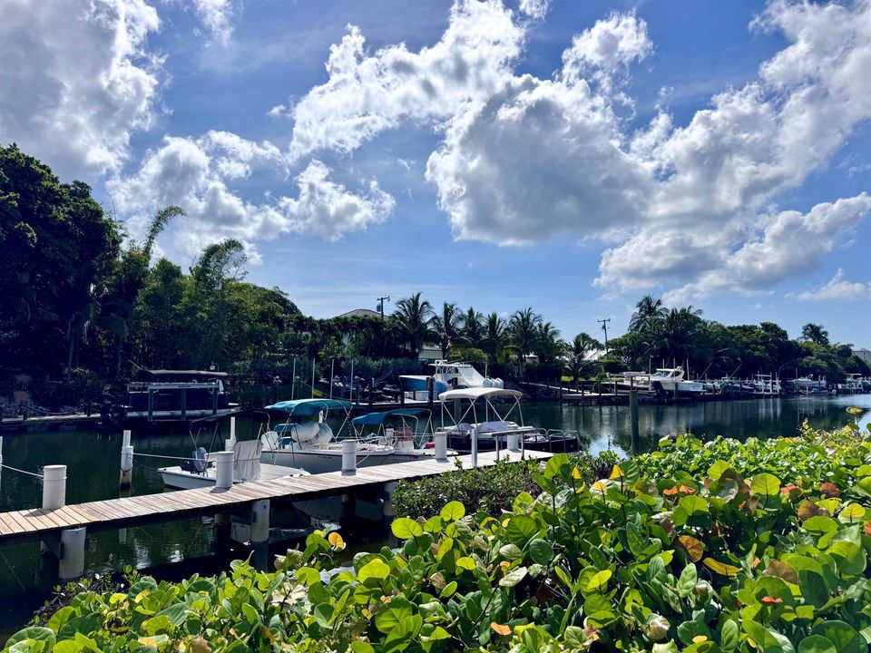 Waterfront View 2