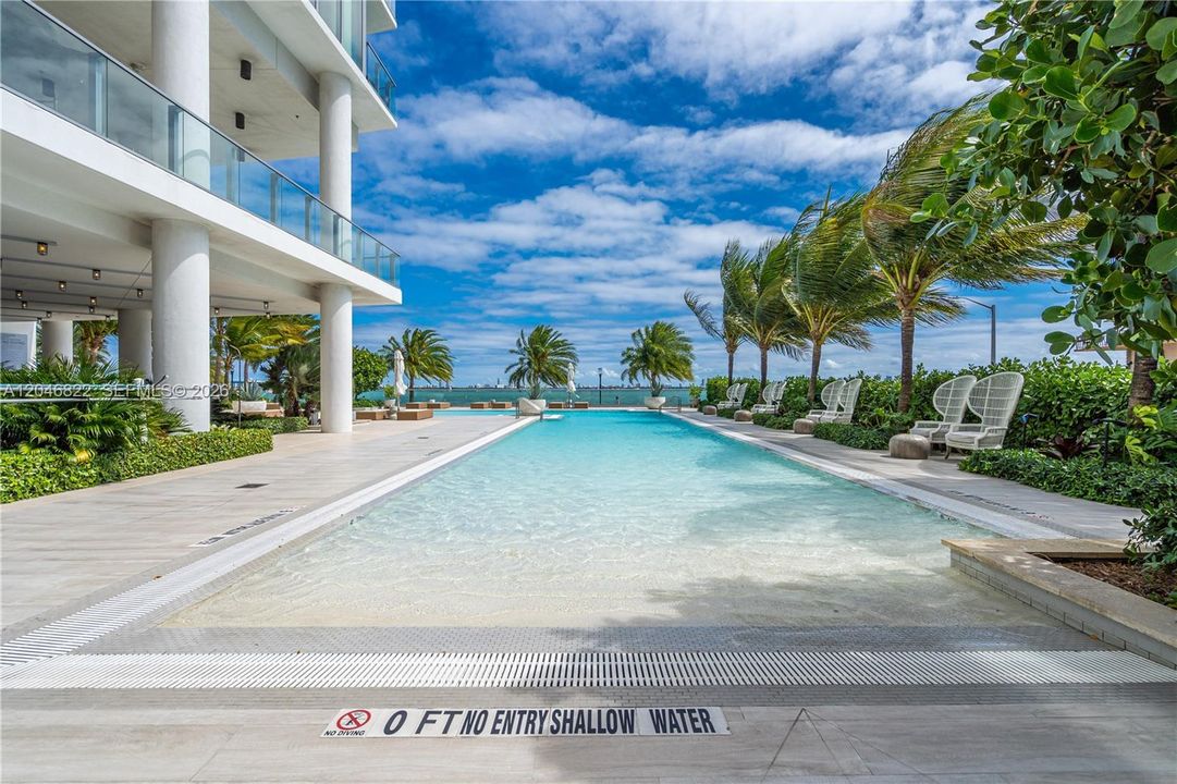 Bayfront lap pool lined with palms and lounge seating