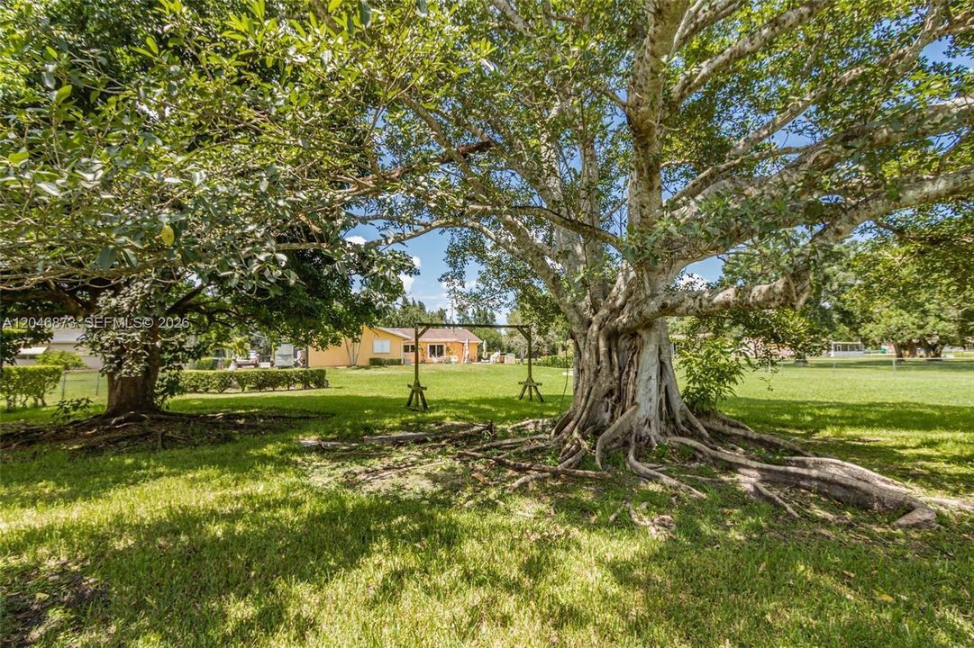 For Sale: $1,197,000 (4 beds, 2 baths, 2895 Square Feet)